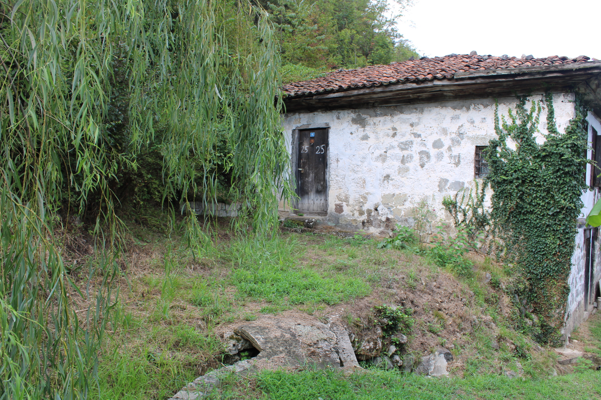Karadeniz